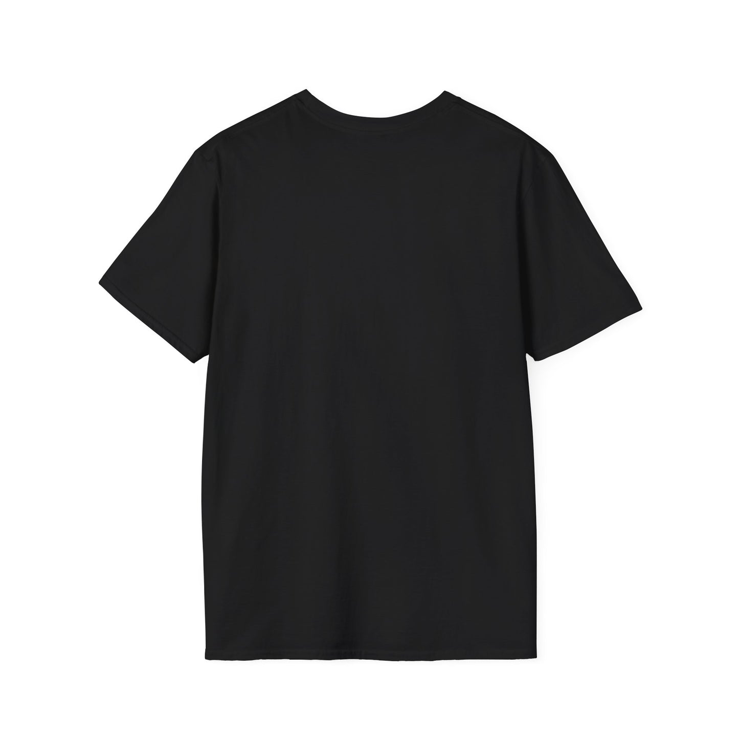 Picture Tee "Punk-Conscious Power Pop"