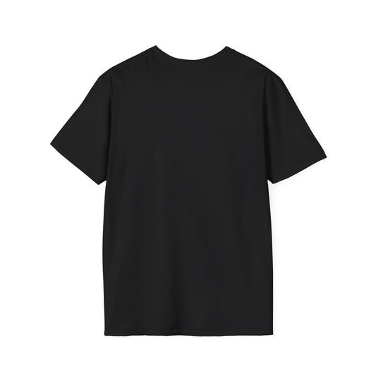 Picture Tee "Punk-Conscious Power Pop"